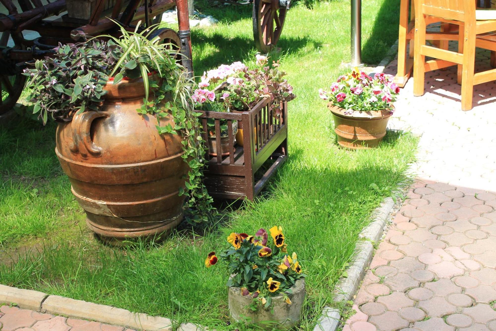 Pension Tip-Top Târgu-Mureş Buitenkant foto