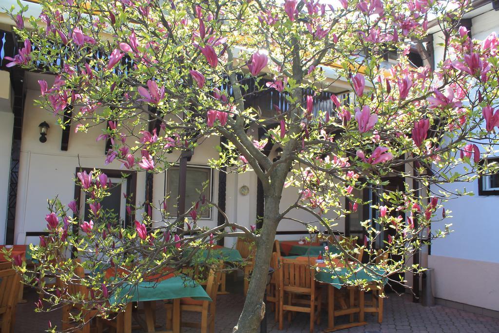 Pension Tip-Top Târgu-Mureş Buitenkant foto