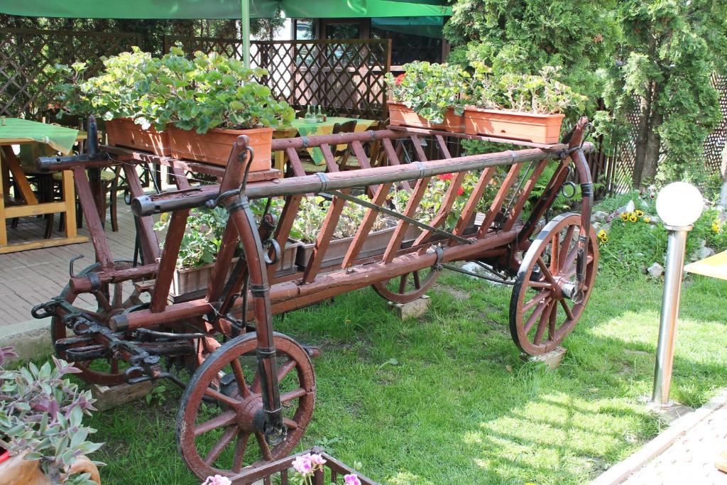 Pension Tip-Top Târgu-Mureş Buitenkant foto